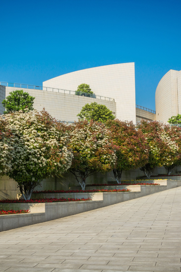 Design sem nome Design sem nome